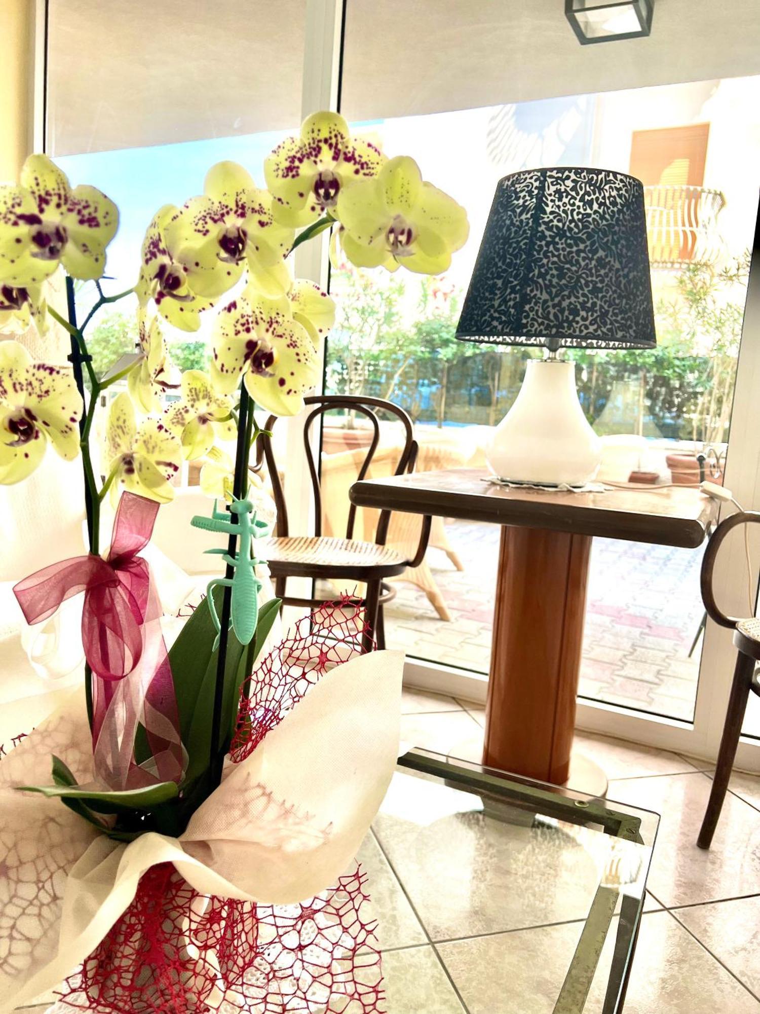 Hotel B&B Montecarlo Milano Marittima Extérieur photo